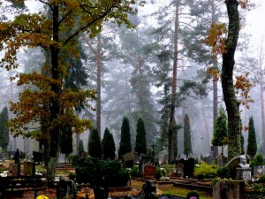Alytaus kapinės