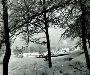 Šaltą 1955 metų žiemą