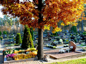 Sudervės kapinės