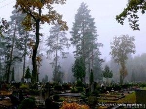 Alytaus Daugų kapinės (2)