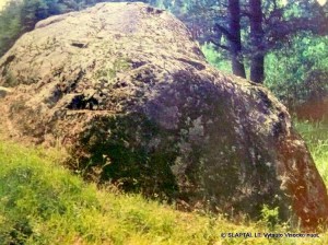 Didysis Dzūkijos akmuo netoli Nemunaičio