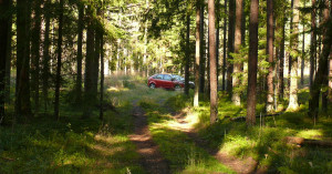 Automobilis miško tankmėje