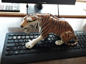 Tigras ant kompiuterio klavišų. Slaptai.lt foto